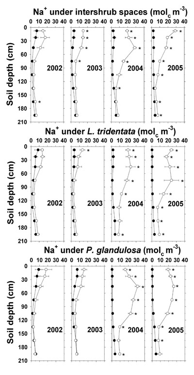 Figure + concentration under intershrub space, L. tridentata, and P. glandulosa, with the non-irrigated plot as the closed symbol (C) and the irrigated plot as the open symbol (B). Further details as in Figure 1.
